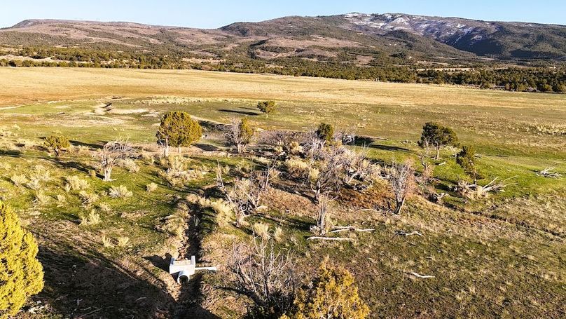 DJI_20250409191116_0039_D
