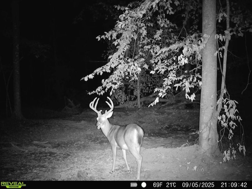 868032068723497-100-4-09052025211236-HD-SYFW0332