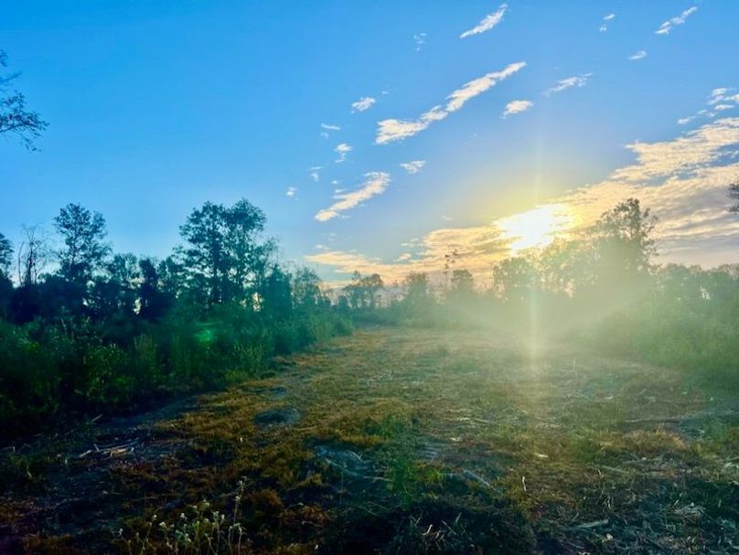 1507A2DF-288B-4C75-B14F-0D97E5F41730_1_105_c