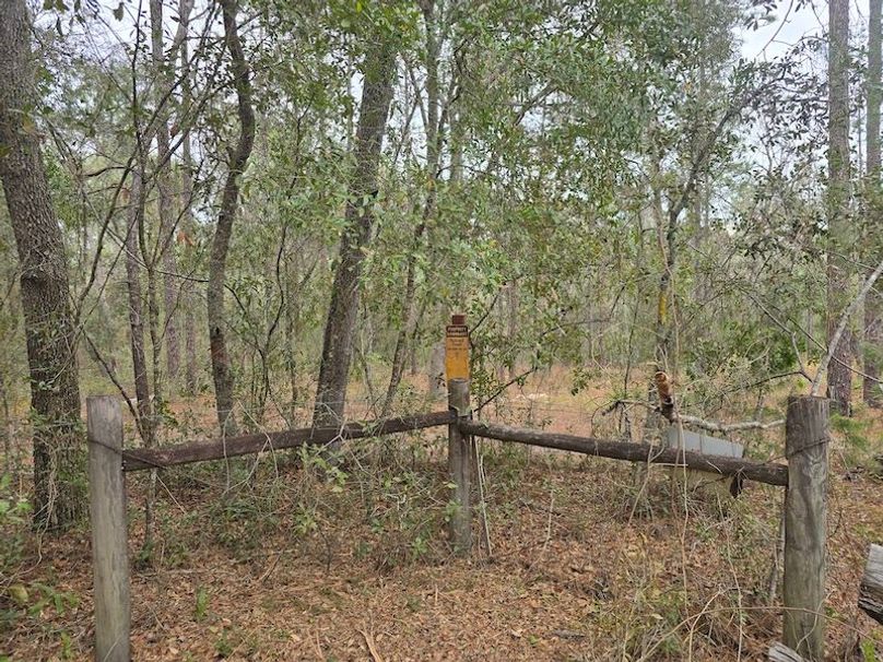 5ac, Marion, Andrew Goering15