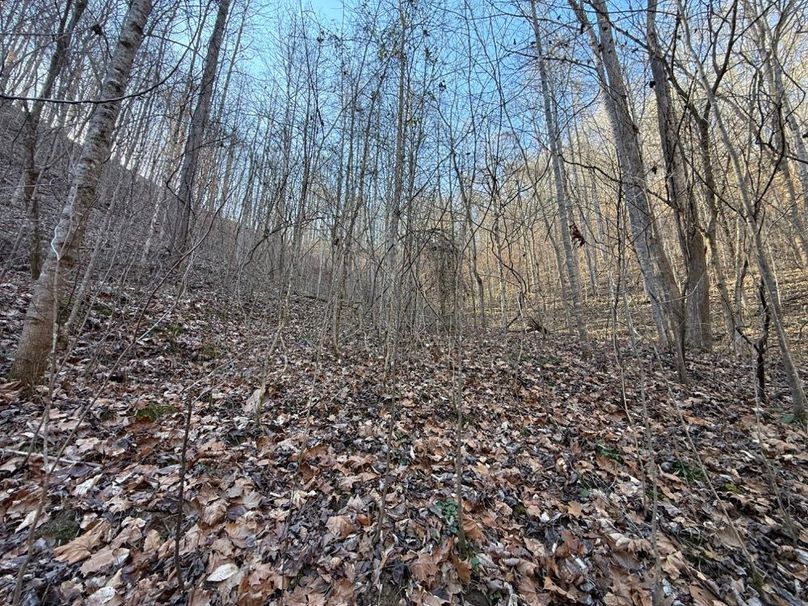 011 the view to the west towards the ridge in the back part of the valley
