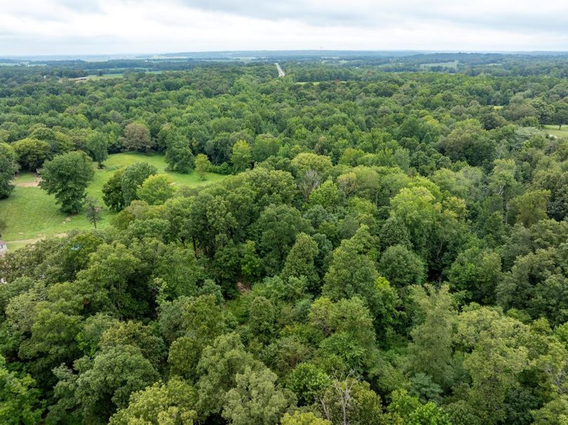 DJI_20240805045656_0949_D