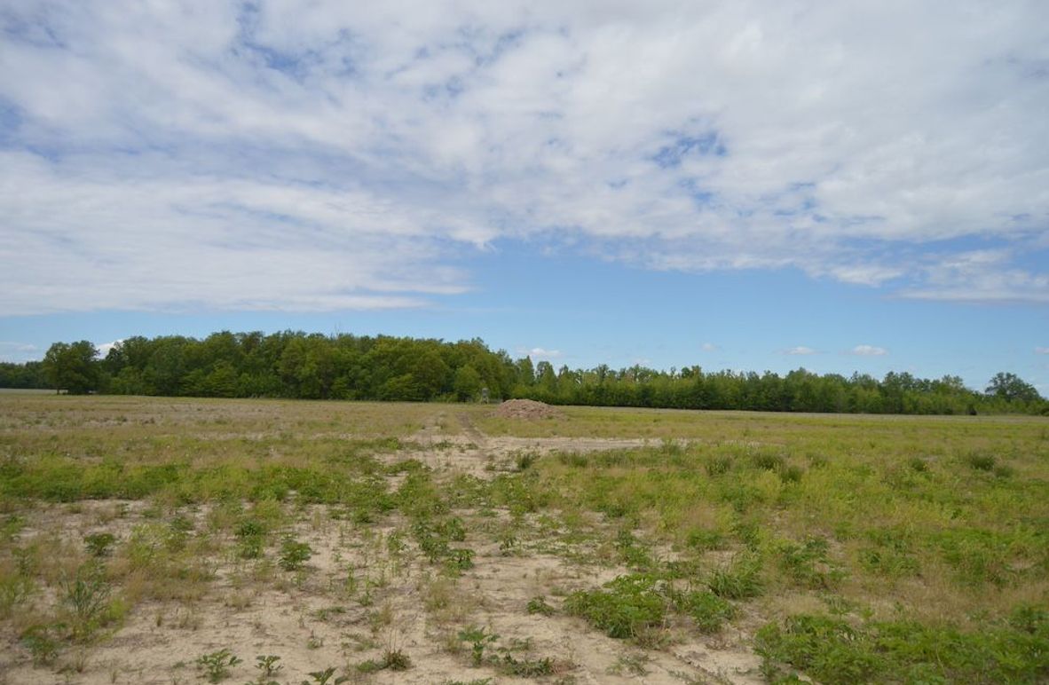 1 View looking east from Rd8