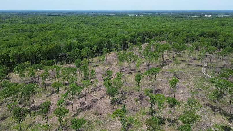 2024-05-24-12-56-02-729