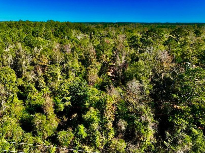 B693FFBF-63EF-498E-A13D-BFB657E90039_1_105_c