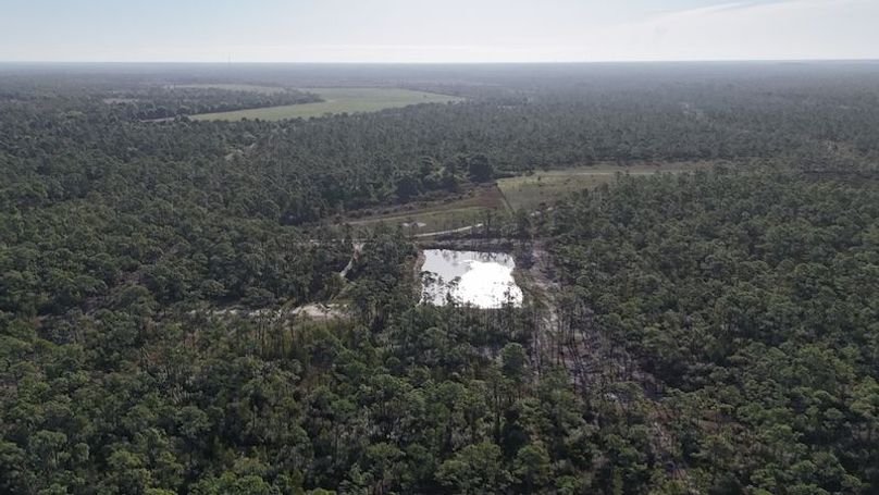 DJI_20260402085543_0439_D