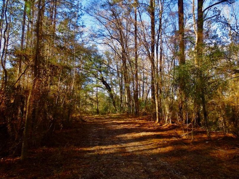 79353D32-00D0-498A-A53A-AD96BACEADBB_1_105_c