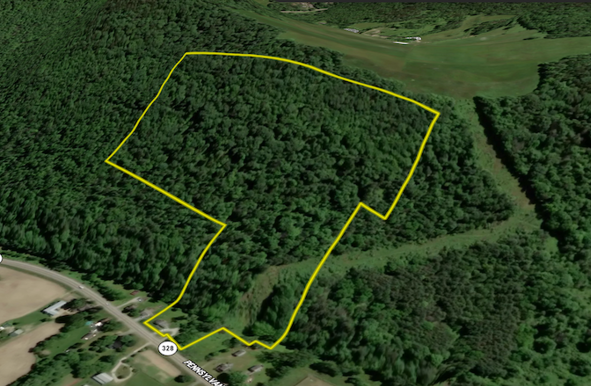 Chemung_32.07_Bower_Landid_1