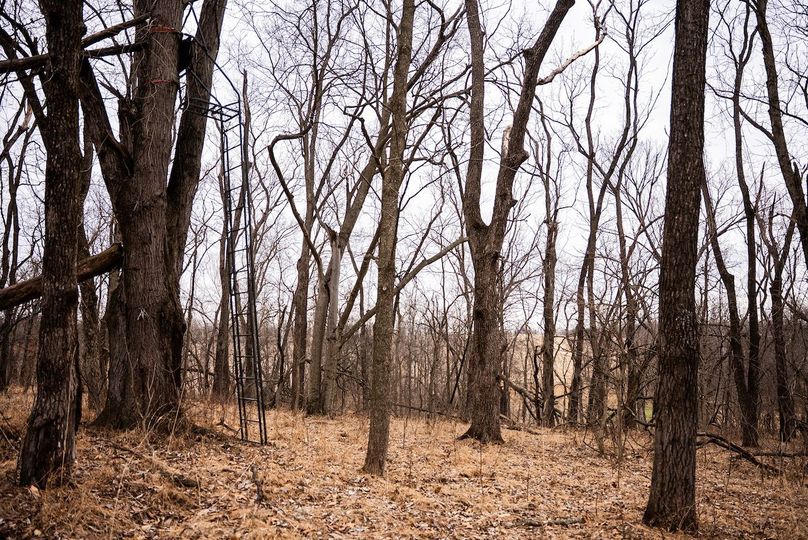 Pike IL 96.87 Adv Pro Photo-29