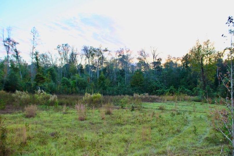 780F375C-FF55-4B58-B2A9-4C6CF2A632B1_1_105_c