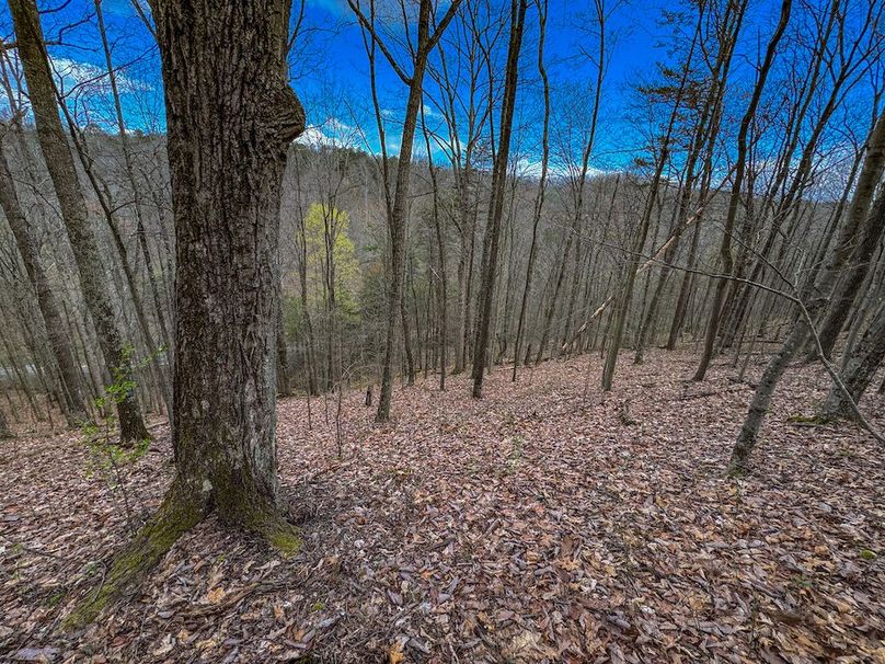 Wirt, WV 62.5 AC Full-25