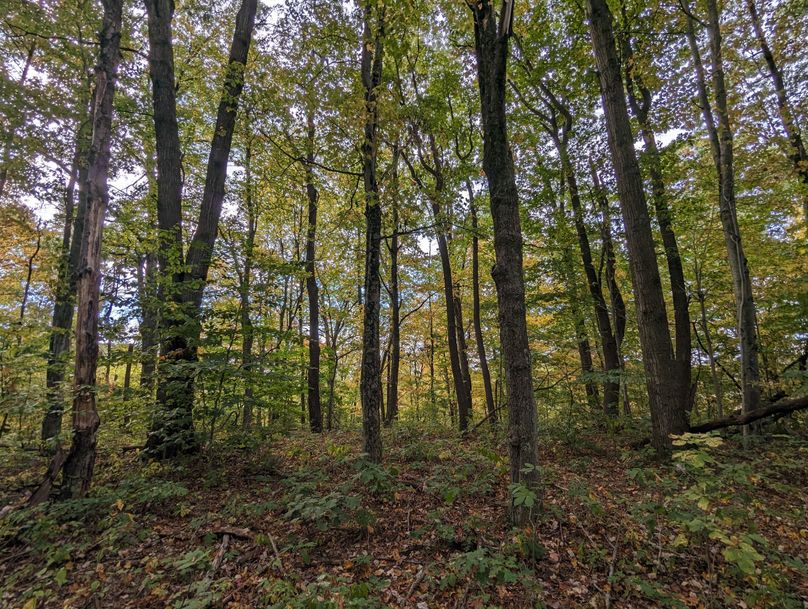 PXL_20231004_192744671