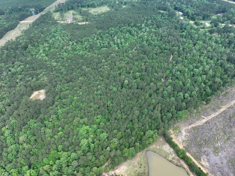 dji_fly_20260518_091050_0164_1779205371928_photo