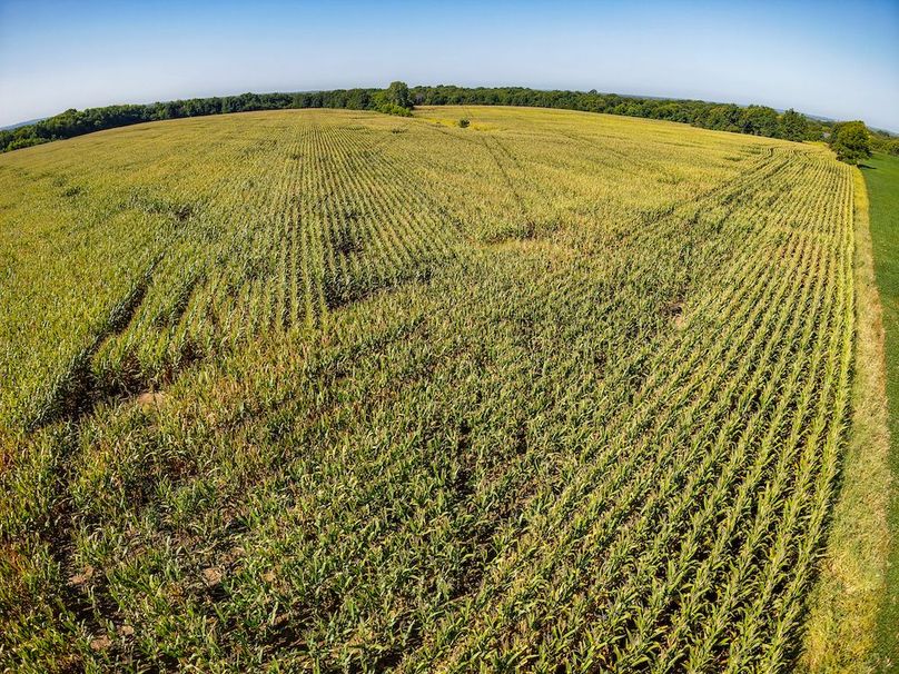 DJI_20250906100443_0066_D