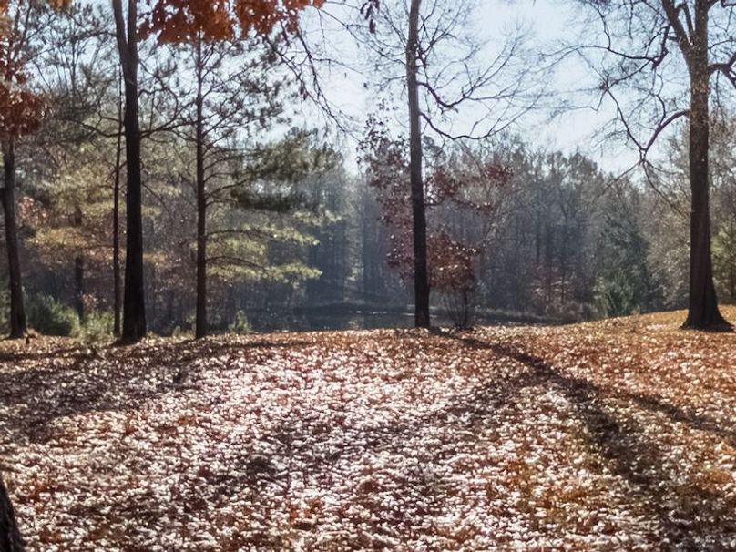 Claiborne Co - 274 - Marian-115