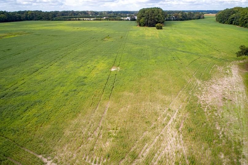 Copy of 2_Salisbury_MD_101.27AC