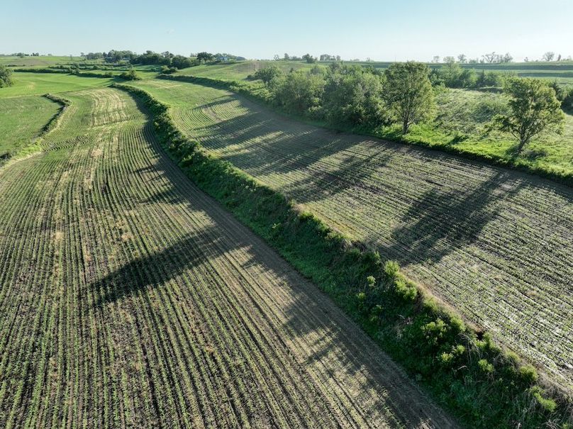 dji_fly_20260601_080436_531_1780319425687_photo