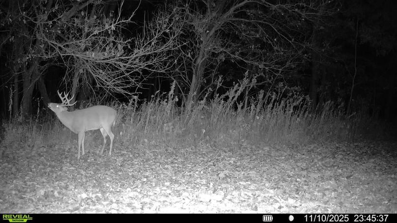 016687000111050-100-4-11102025234537-V-SYFW02703