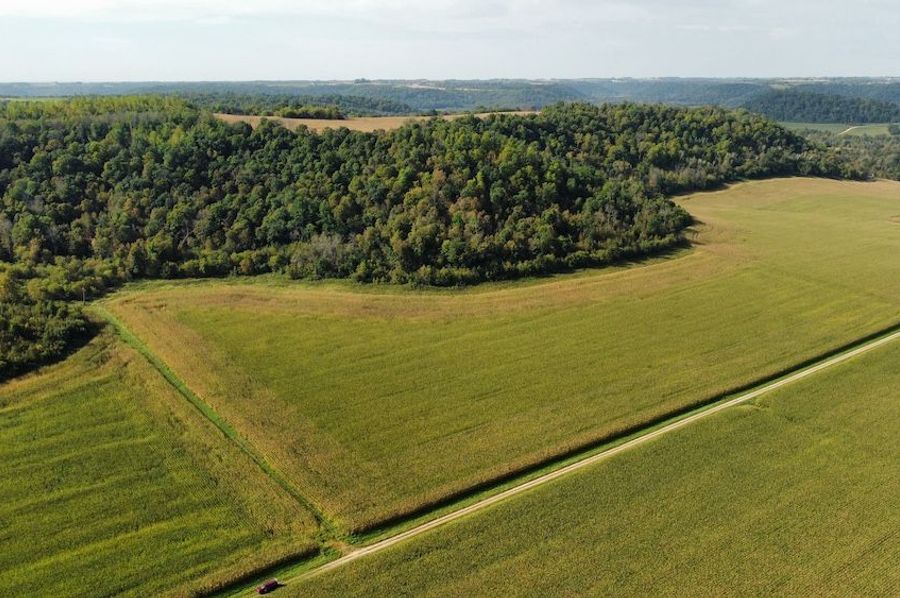 dji_fly_20240917_101102_888_1726585871595_photo_optimized