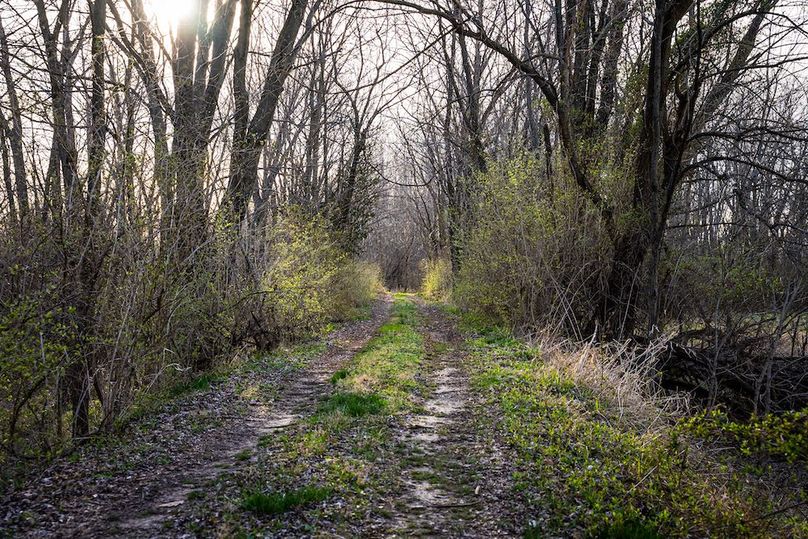 St Clair IL 263.95 Featured_Pro Photo-08