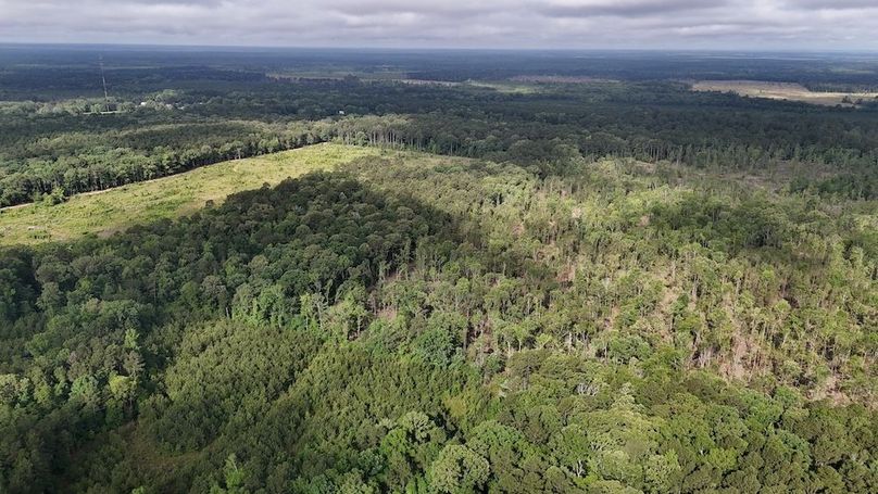 Copy of DJI_20250529215557_0530_D