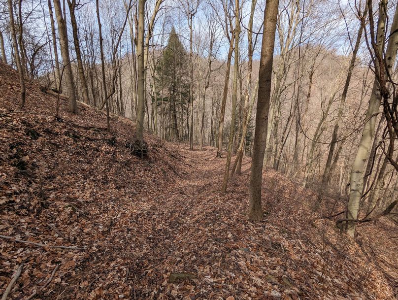 PXL_20230301_163726622