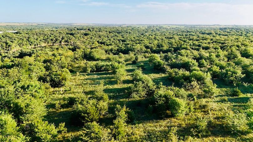 dji_fly_20250728_075434_0037_1753739714325_photo