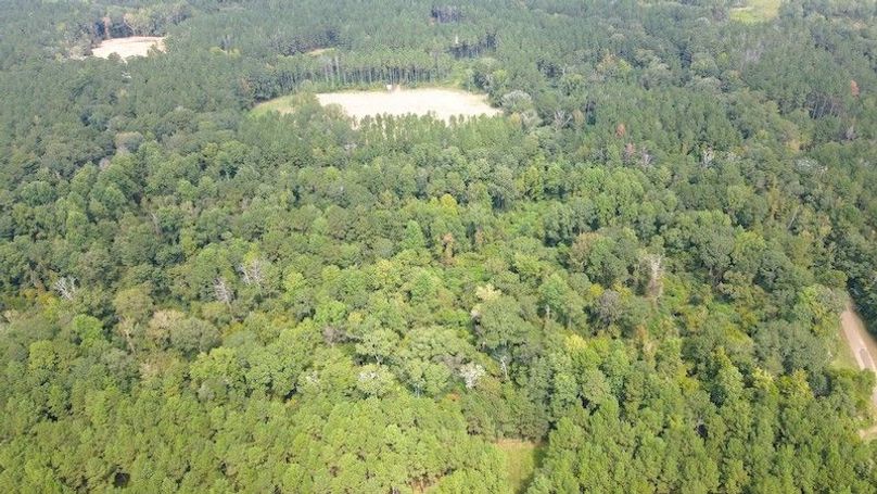 Mdji_fly_20250916_121546_717_1758042952525_photo