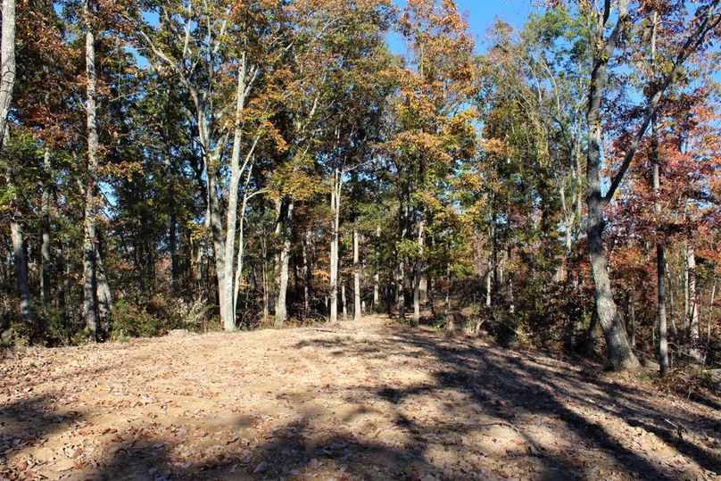 009 one of several small clearings opened up in the property, perfect for food plotting