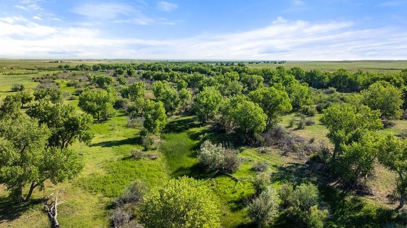 DJI_20250616100047_0034_D_1