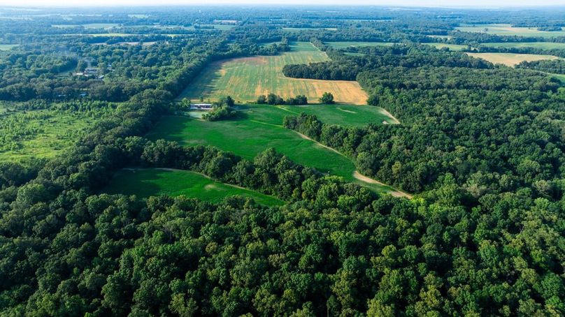 Copy of DJI_20250806051418_0005_D Large