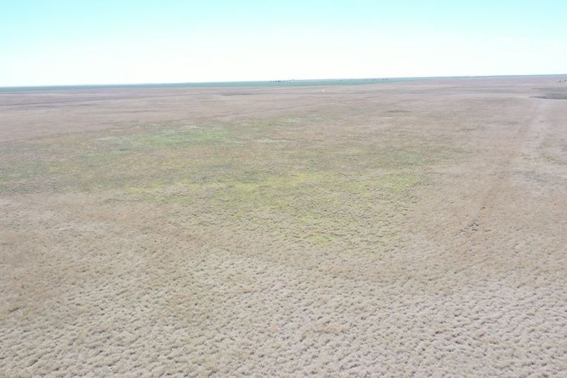 DJI_0677