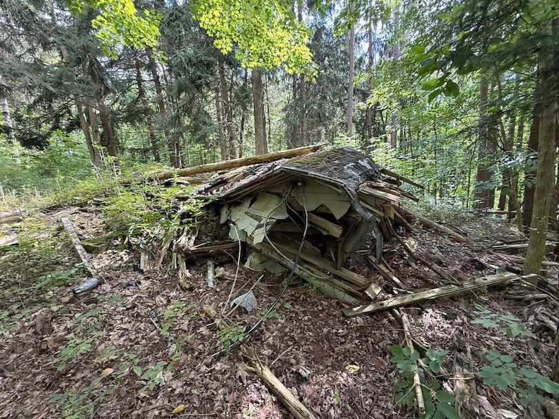 Ontario_2.7_Proseus Photo 30