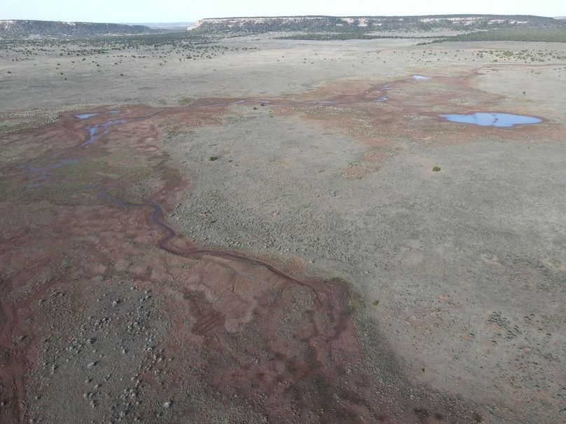 dji_fly_20240504_081148_350_1714832004314_photo