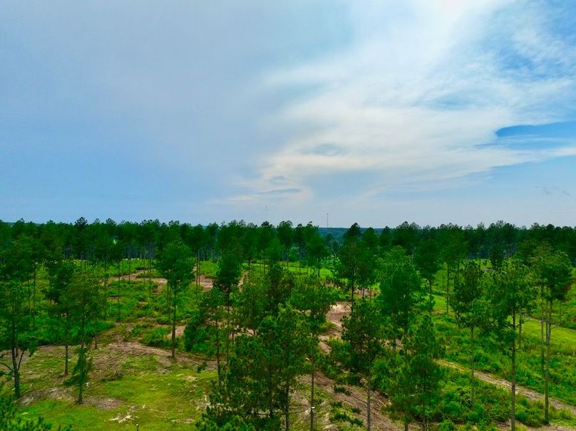 EAF3AC32-3C0A-44AB-AB5A-3C50E9EB619C_1_105_c