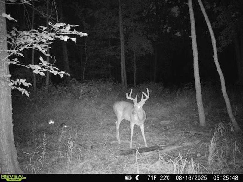 860516068101389-100-3-08162025052548-V-W1000561