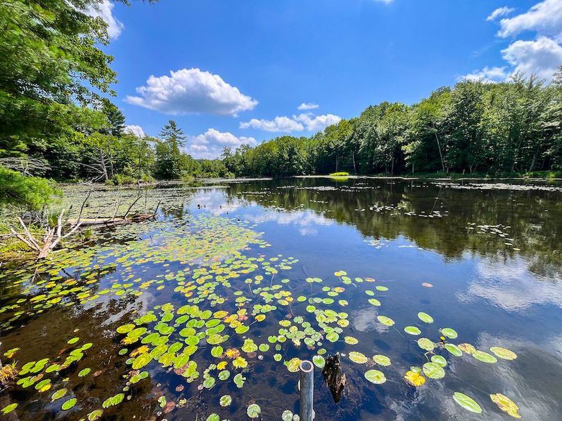 Oswego_20_Eck Photo 19