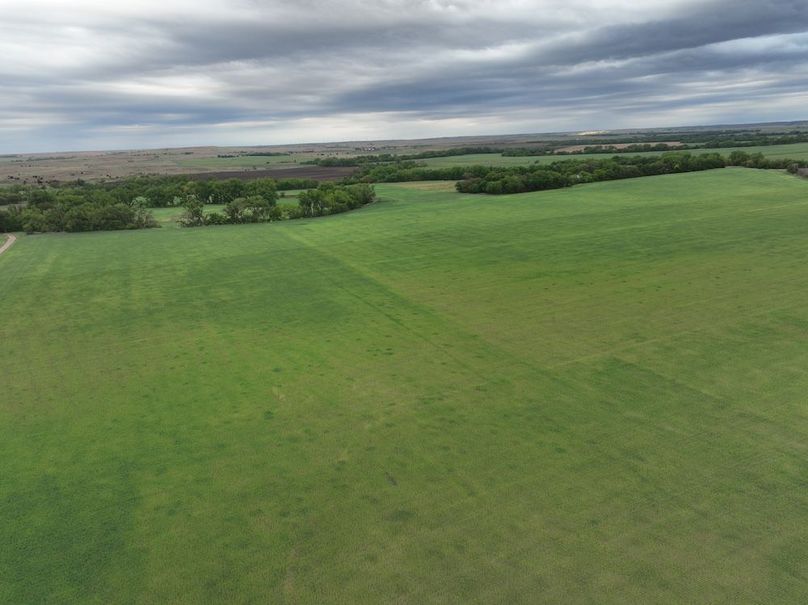 Copy of dji_fly_20240501_075806_968_1714569021361_photo