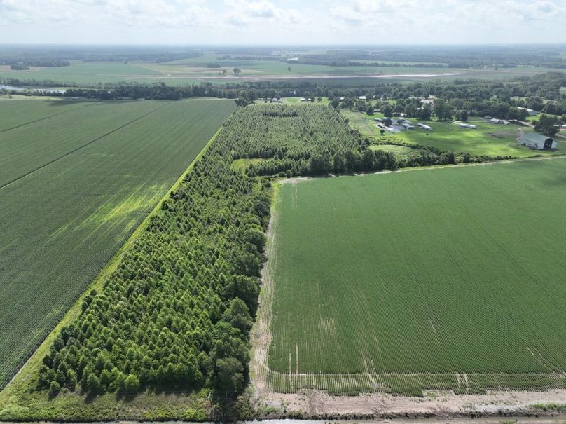 dji_fly_20250620_100438_16_1750611264312_photo