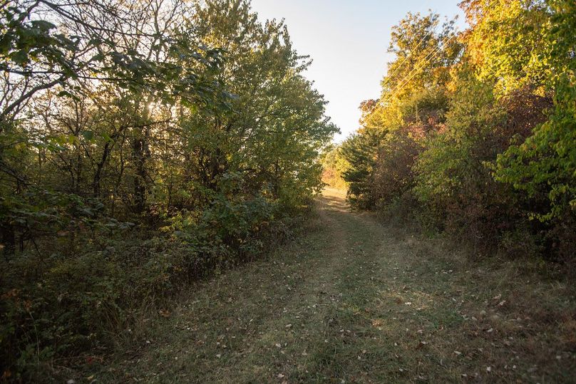NODAWAY CO MO 80_99