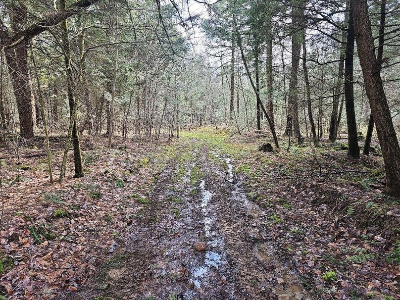 photo_20a5815c-64fd-457d-8fe4-9a17e34a4090