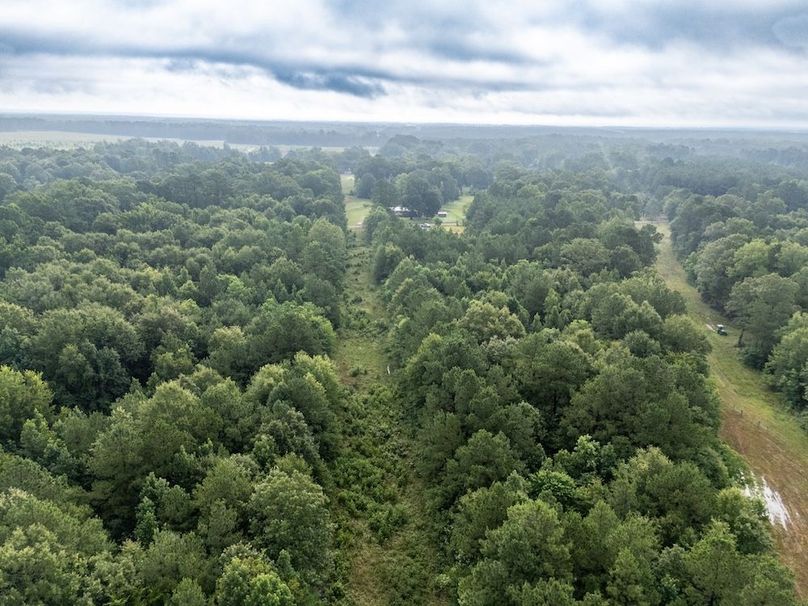 11 Panola Co. 40ac - Rouse-20