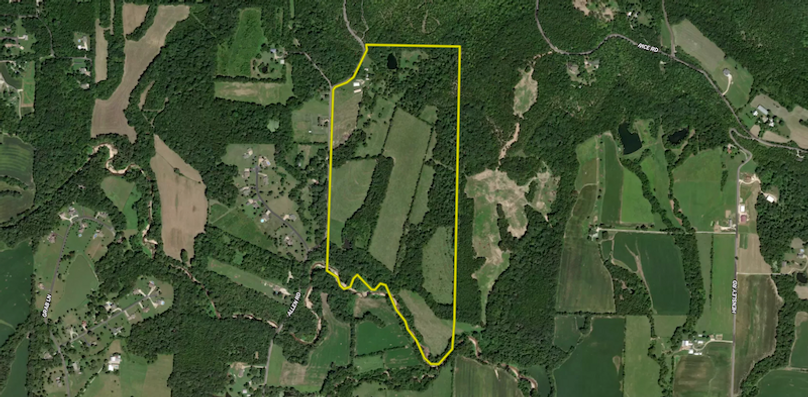 Screenshot 2024-02-12 at 2.50.55 PM