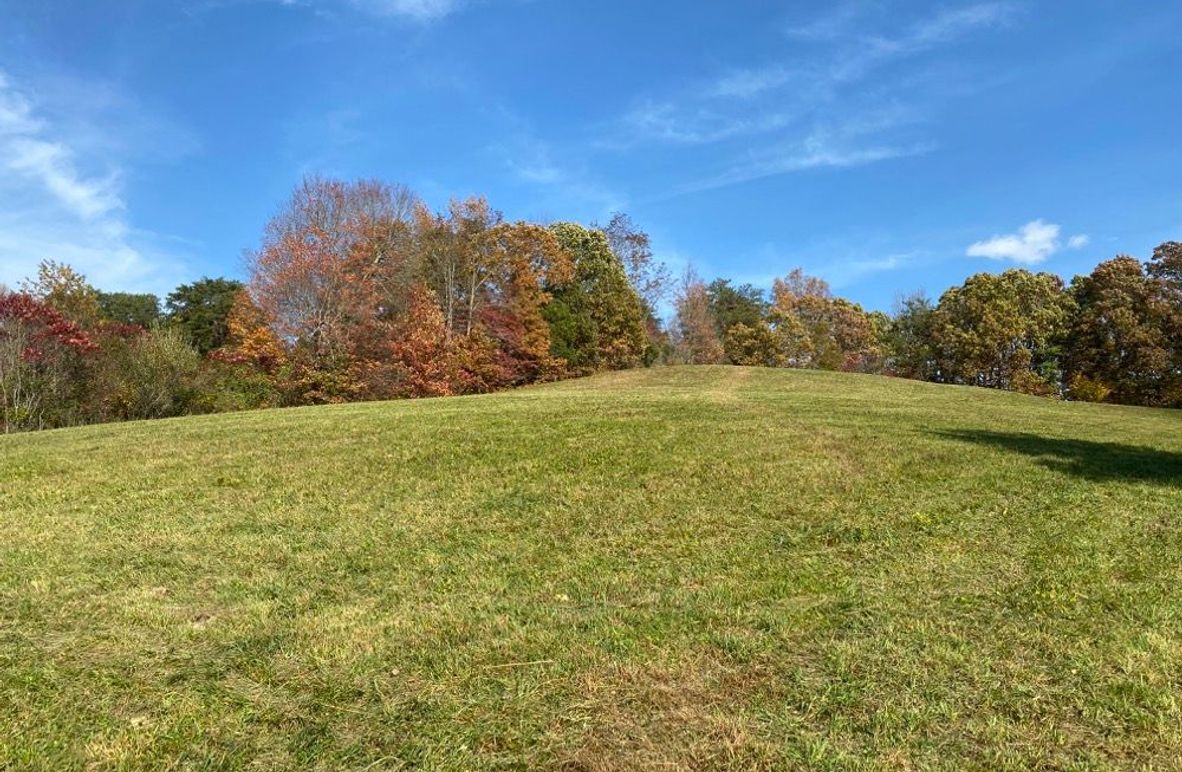 003 gently rolling meadow in the southeast corner of the property