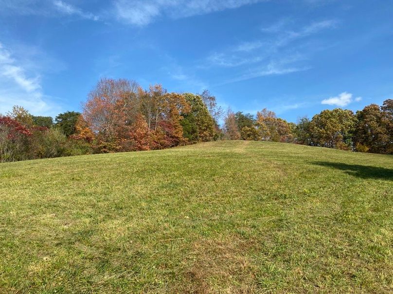 003 gently rolling meadow in the southeast corner of the property