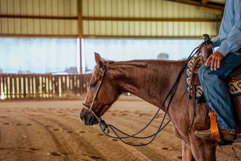 Grayson County- Petska Ranch Final (38 of 64)
