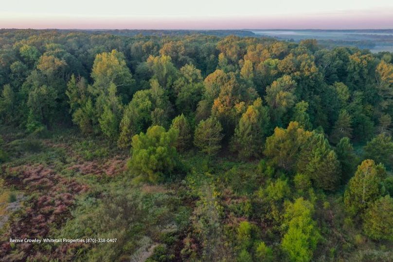 DeSoto 109 Prewett -16
