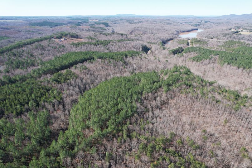 DJI_0285