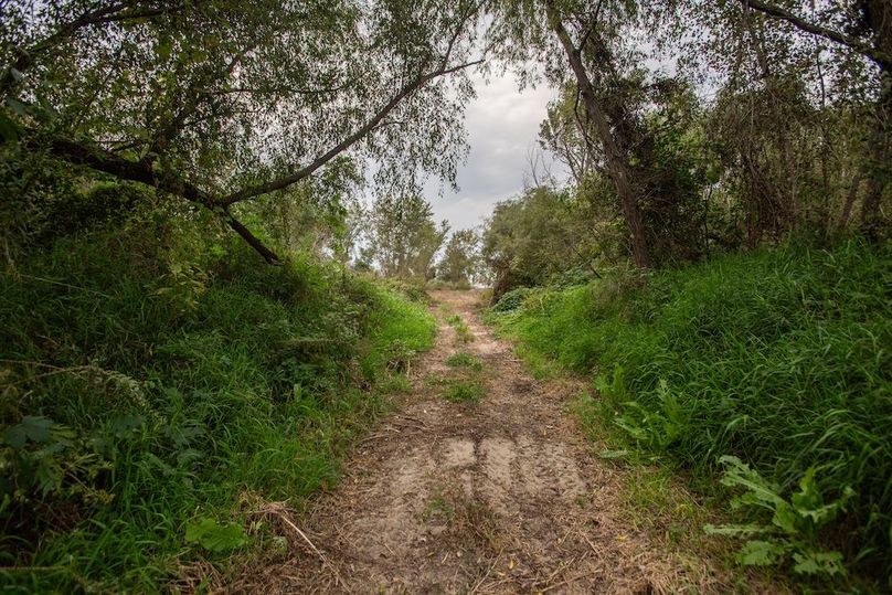  BLACKDOGBEND SOUTH_26