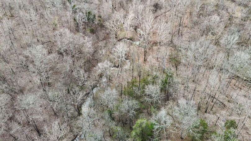 DJI_20250401122157_0045_D